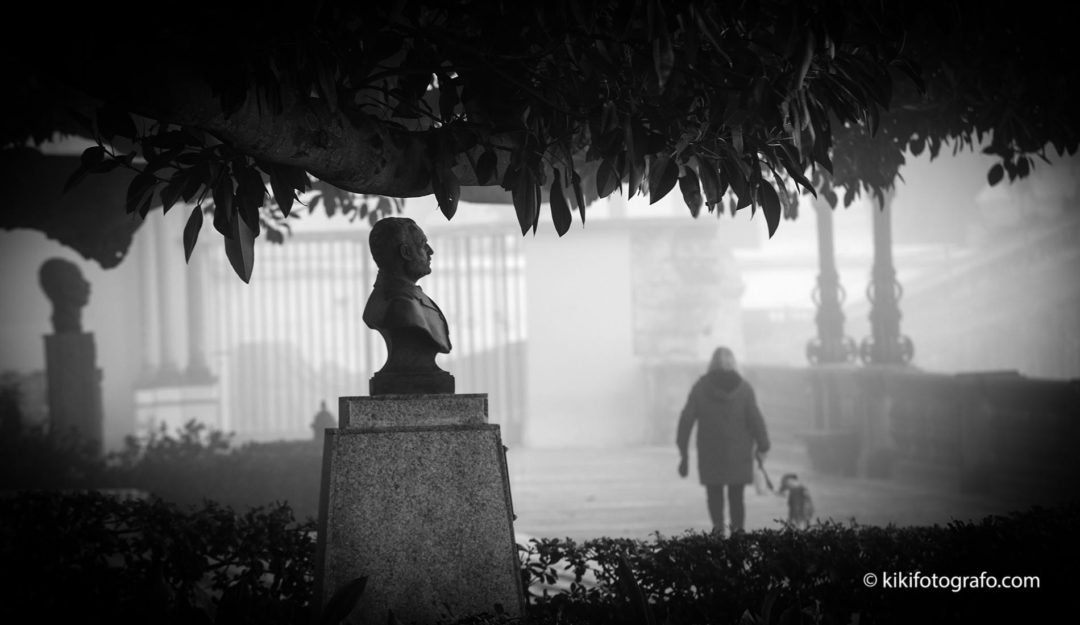 18/01/21  LA NEBLINA DE LA LLUVIA ES MADRINA.