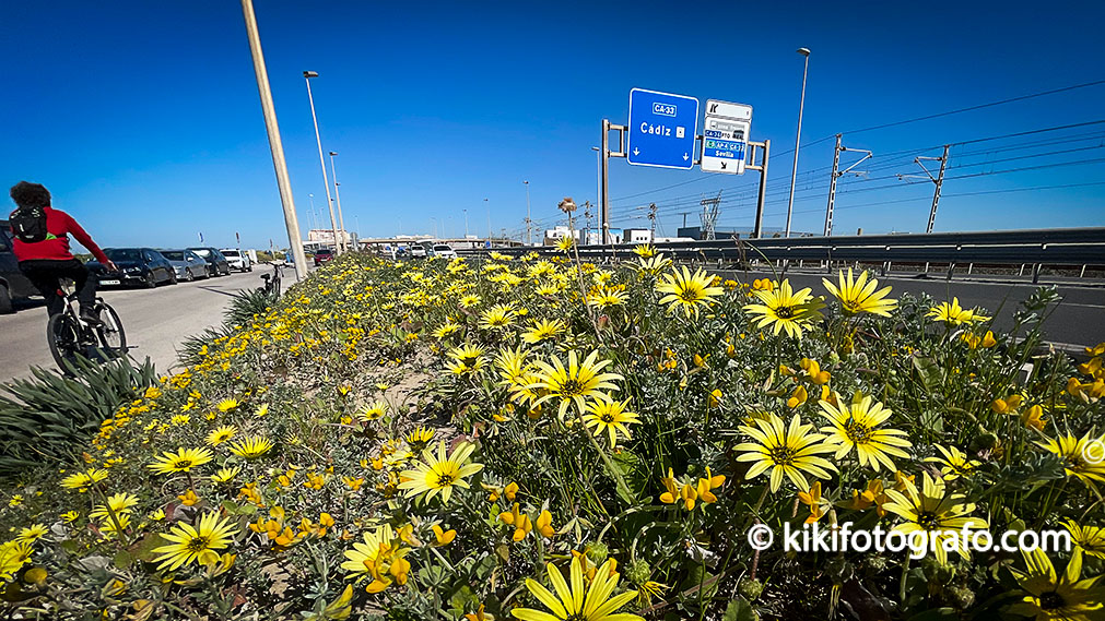 21/03/21 LA PRIMAVERA